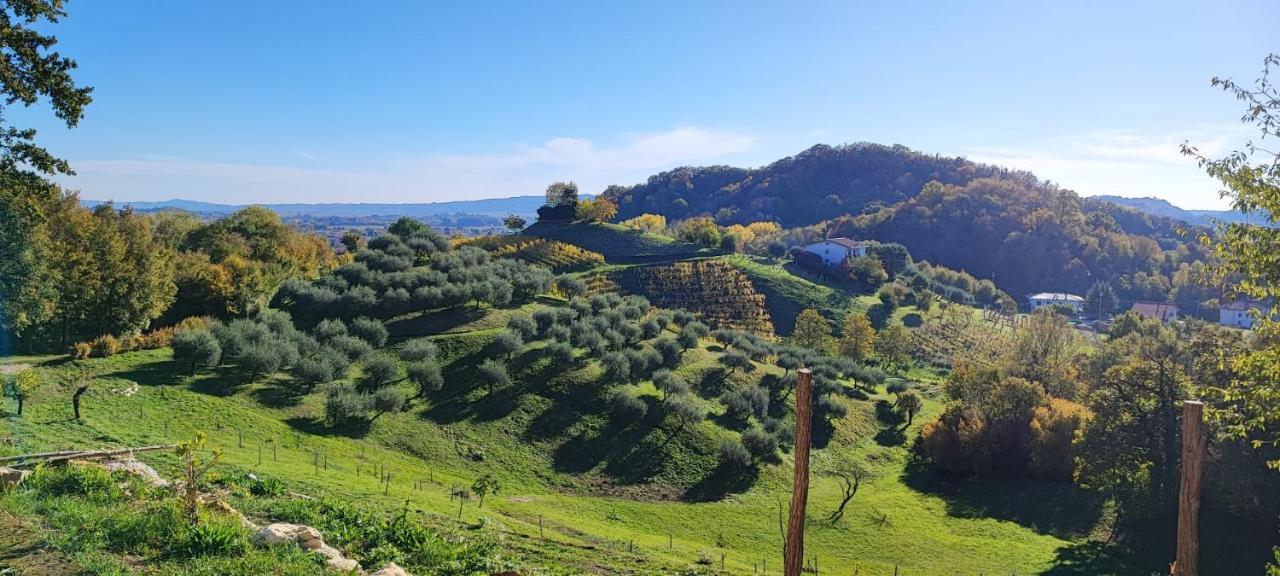 Terrazza San Vettore Camere Con Colazione, Relax In Collina Con Vista Sui Vigneti Docg Asolo Maser Extérieur photo